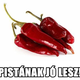 Illustration for article titled A Tumblr válasza a HÖK-ösök listázására: Pistának jó lesz